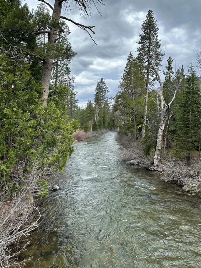 Report Cover Image